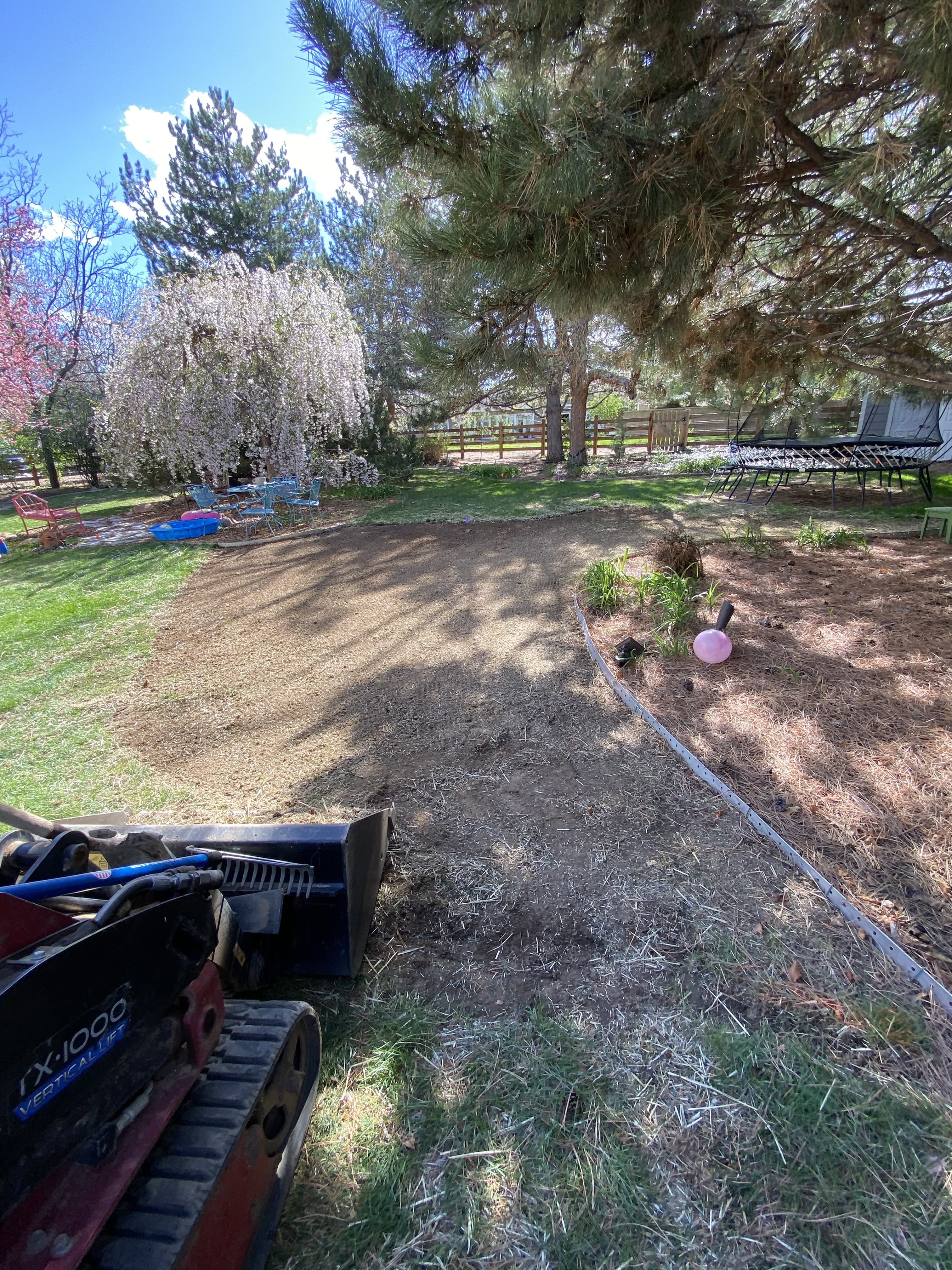 Clean lawn stripes and fresh edging